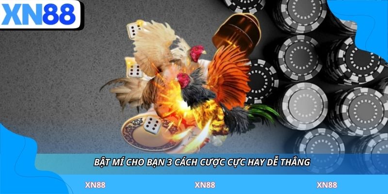 Bật mí cho bạn 3 cách cược cực hay dễ thắng